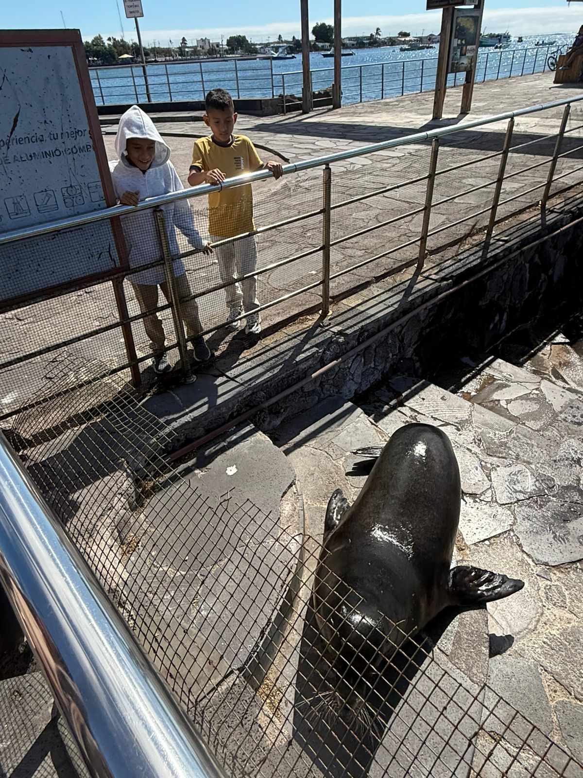 Foto de GALAPAGOS - WhatsApp Image 2025-09-09 at 10.45.34 AM (5).jpeg